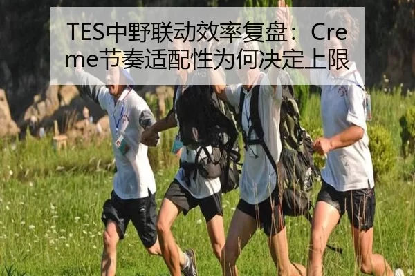 TES中野联动效率复盘：Creme节奏适配性为何决定上限