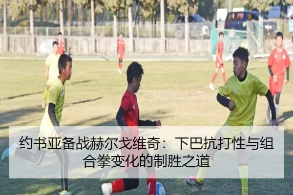约书亚备战赫尔戈维奇：下巴抗打性与组合拳变化的制胜之道