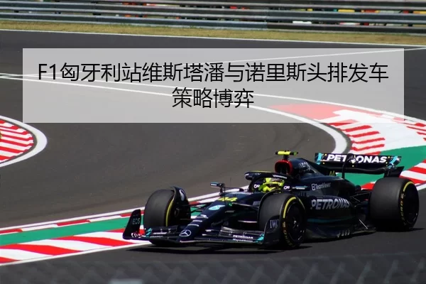 xiong-ya-li-zhan-wei-si-ta-pan-yu-nuo-li-si-tou-pai-fa-che-ce-lve-bo-yi-2-346.jpg