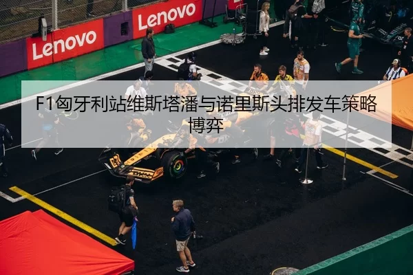 F1匈牙利站维斯塔潘与诺里斯头排发车策略博弈